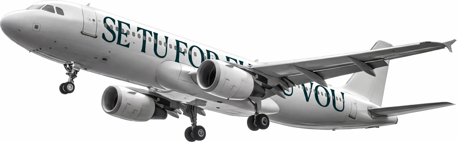 Avião da Se Tu For, Eu Vou